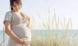 孕妇h视频,孕妈咪的温馨瞬间