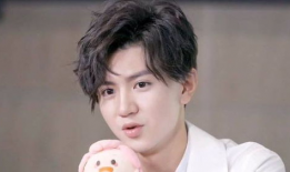 吃瓜娱乐圈陈哲远,吃瓜娱乐圈，揭秘明星背后的故事